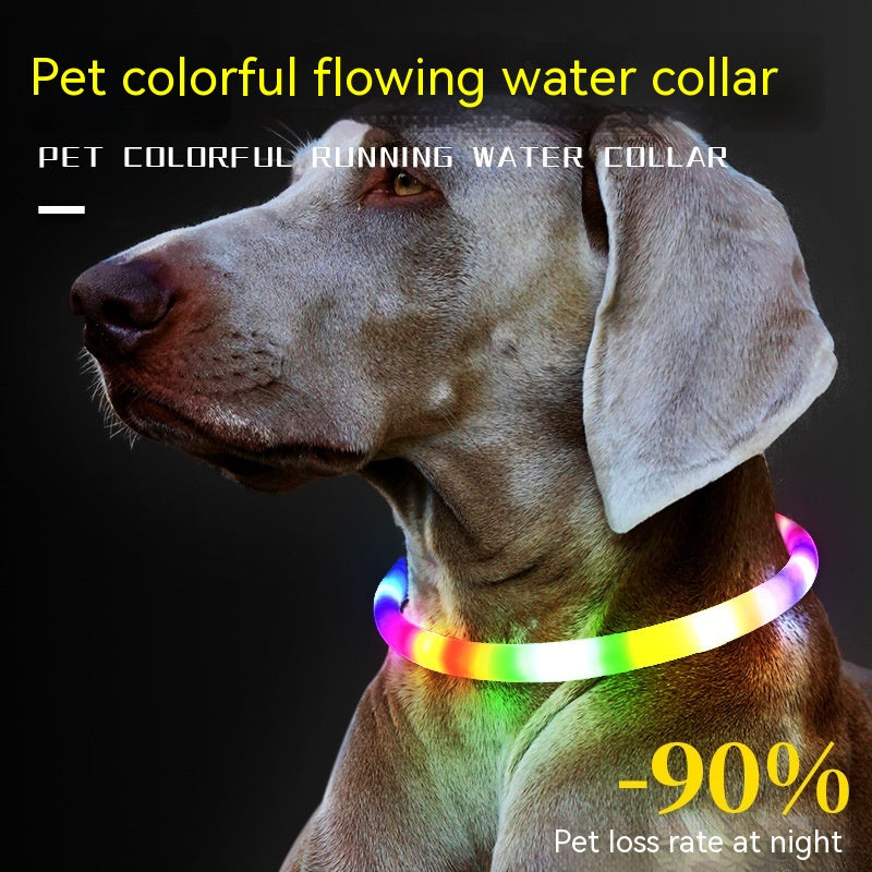 Stylish LED Safety Collar