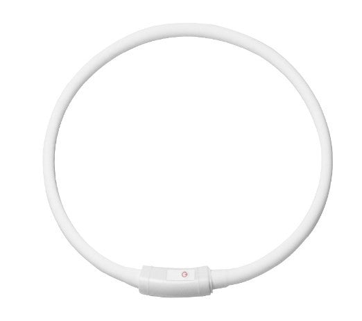Stylish LED Safety Collar
