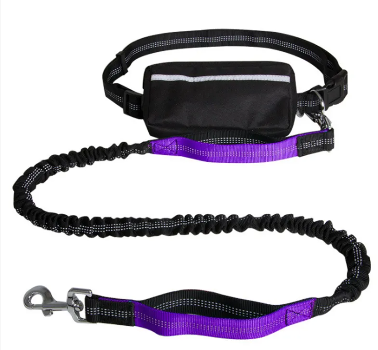 Shock-Absorbing Hands-Free Leash