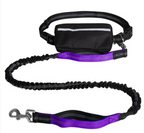 Shock-Absorbing Hands-Free Leash