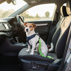 Winston Road Trip Bundle