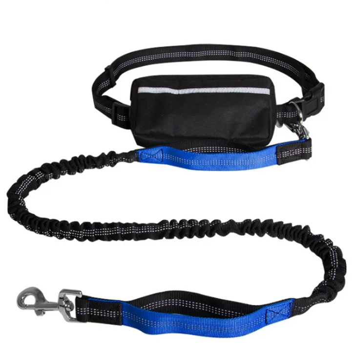 Shock-Absorbing Hands-Free Leash
