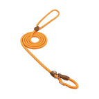 Orange / XL