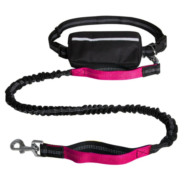 Shock-Absorbing Hands-Free Leash