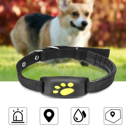 GPS Pet Tracker for Real-Time Location Monitoring