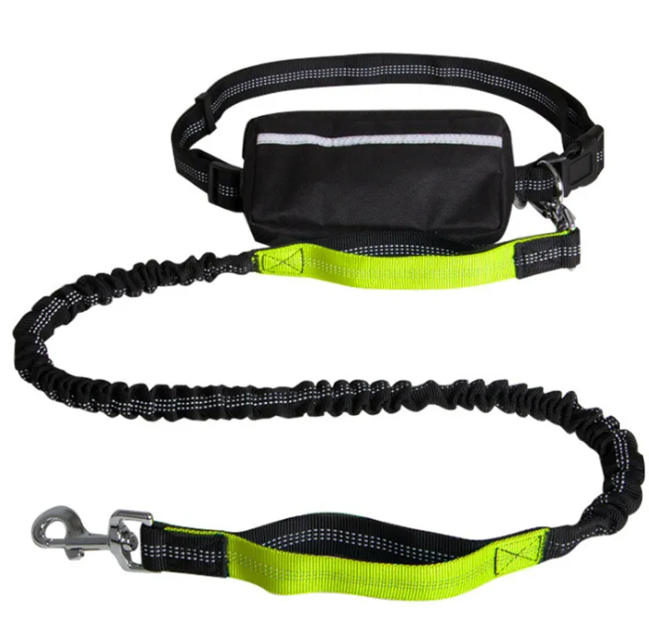 Shock-Absorbing Hands-Free Leash