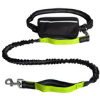 Shock-Absorbing Hands-Free Leash