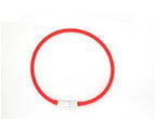 Stylish LED Safety Collar