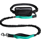 Shock-Absorbing Hands-Free Leash