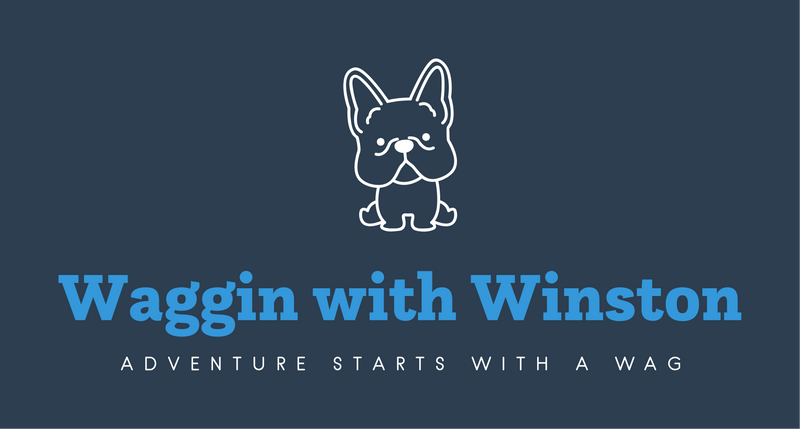 Waggin' with Winston 